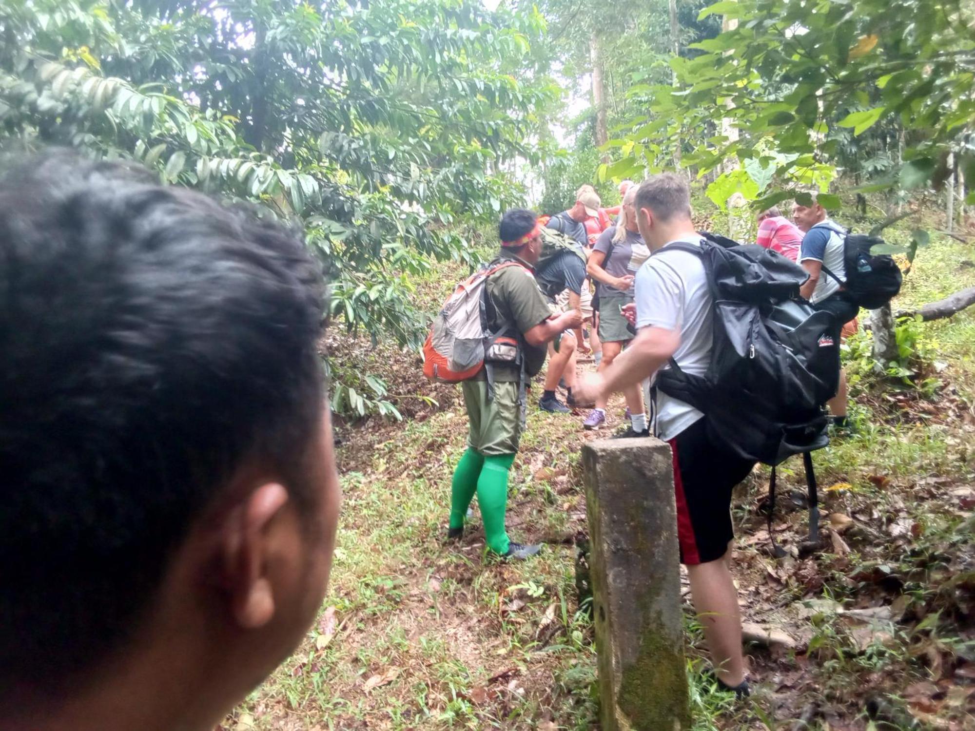 Jungle Treking & Jungle Tour If You Want To Stay Here,You Must Book Treking Only With Us Букит Лаванг Екстериор снимка