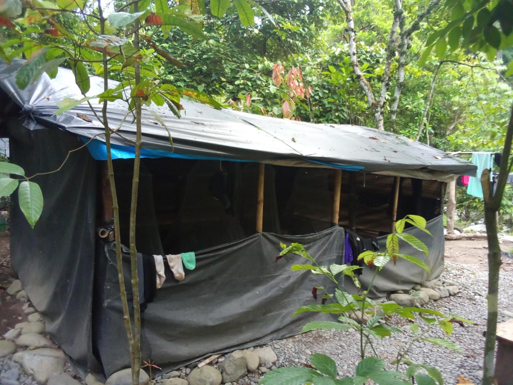 Jungle Treking & Jungle Tour If You Want To Stay Here,You Must Book Treking Only With Us Букит Лаванг Екстериор снимка