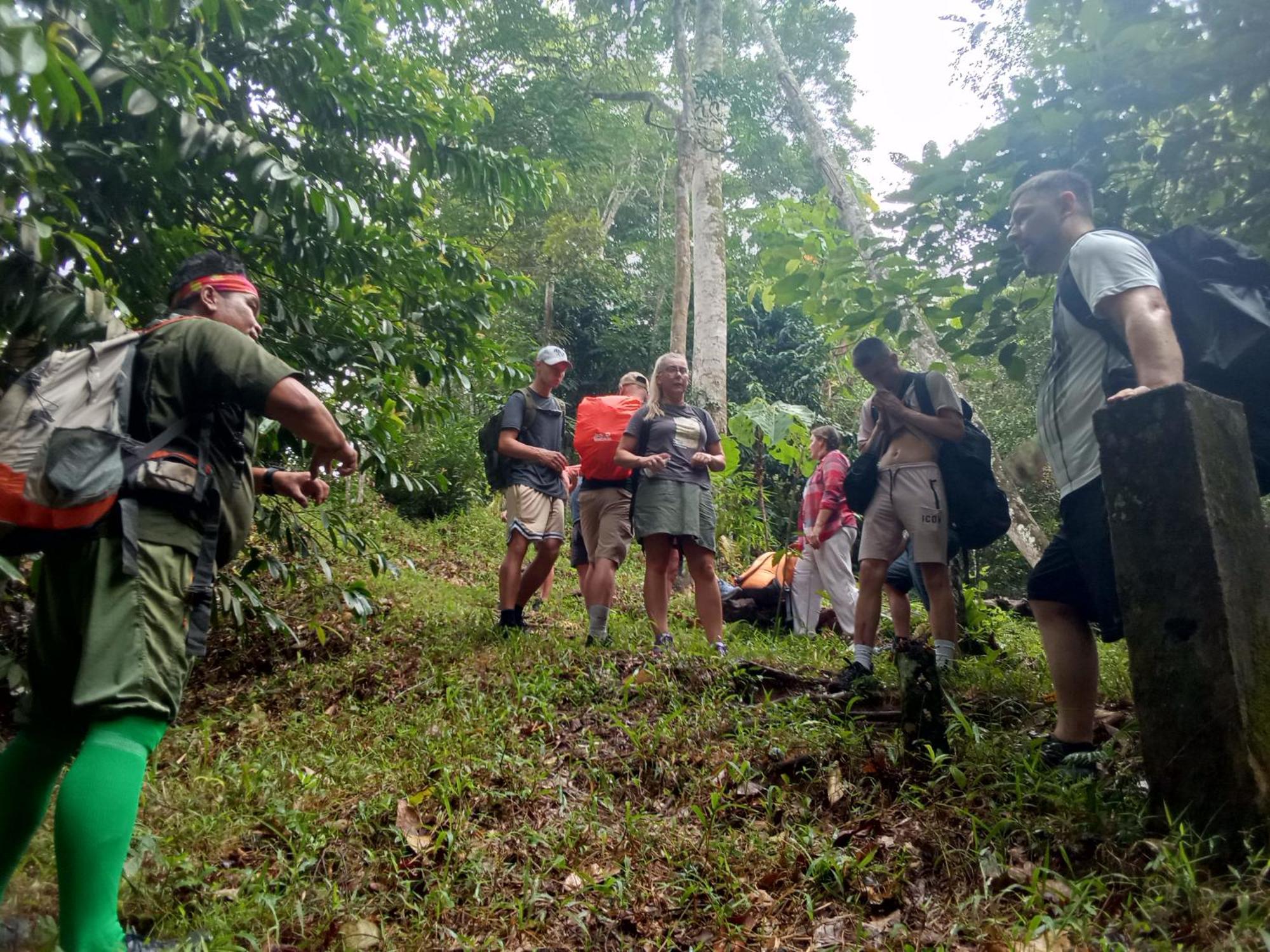 Jungle Treking & Jungle Tour If You Want To Stay Here,You Must Book Treking Only With Us Букит Лаванг Екстериор снимка