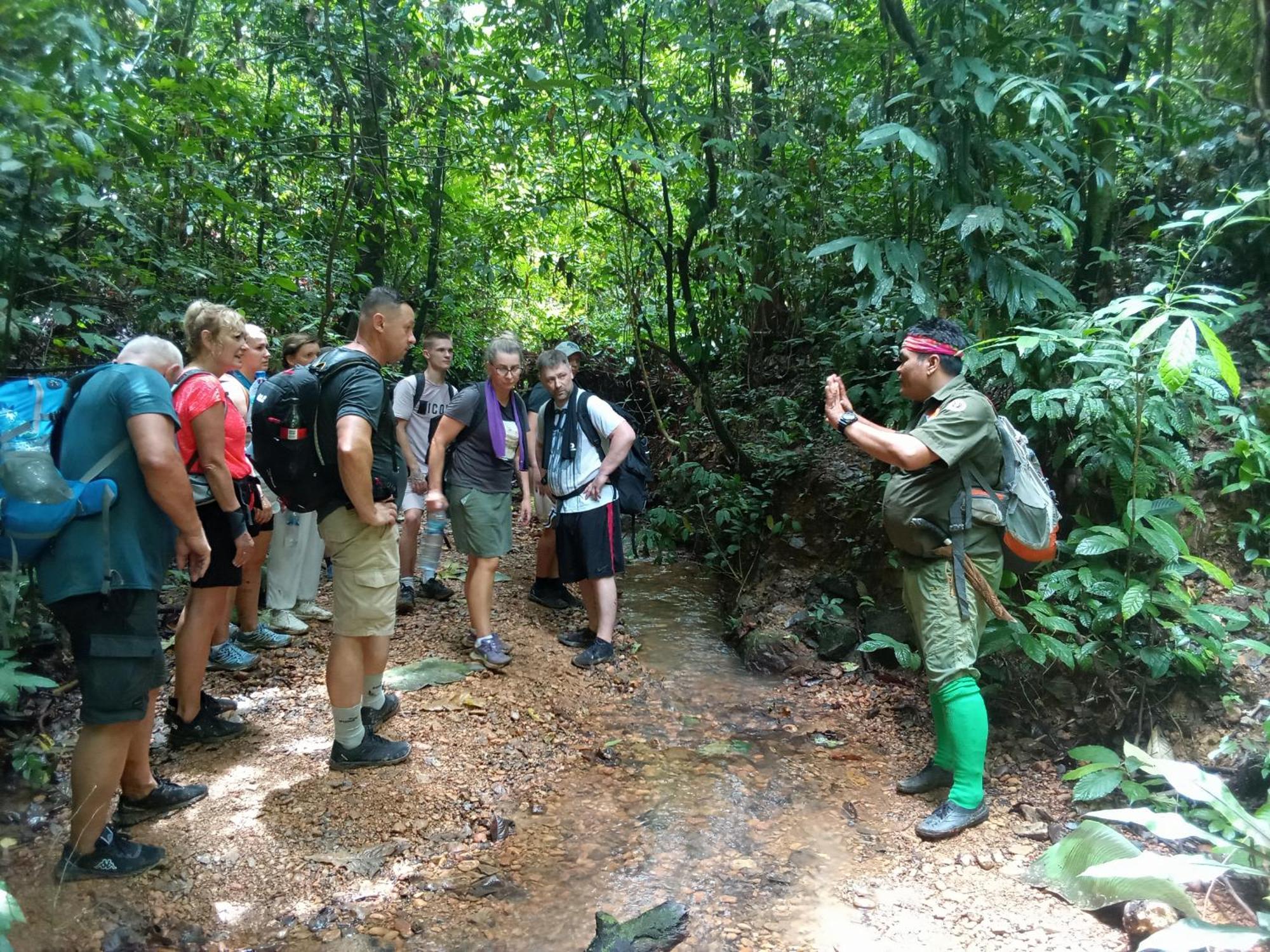 Jungle Treking & Jungle Tour If You Want To Stay Here,You Must Book Treking Only With Us Букит Лаванг Екстериор снимка