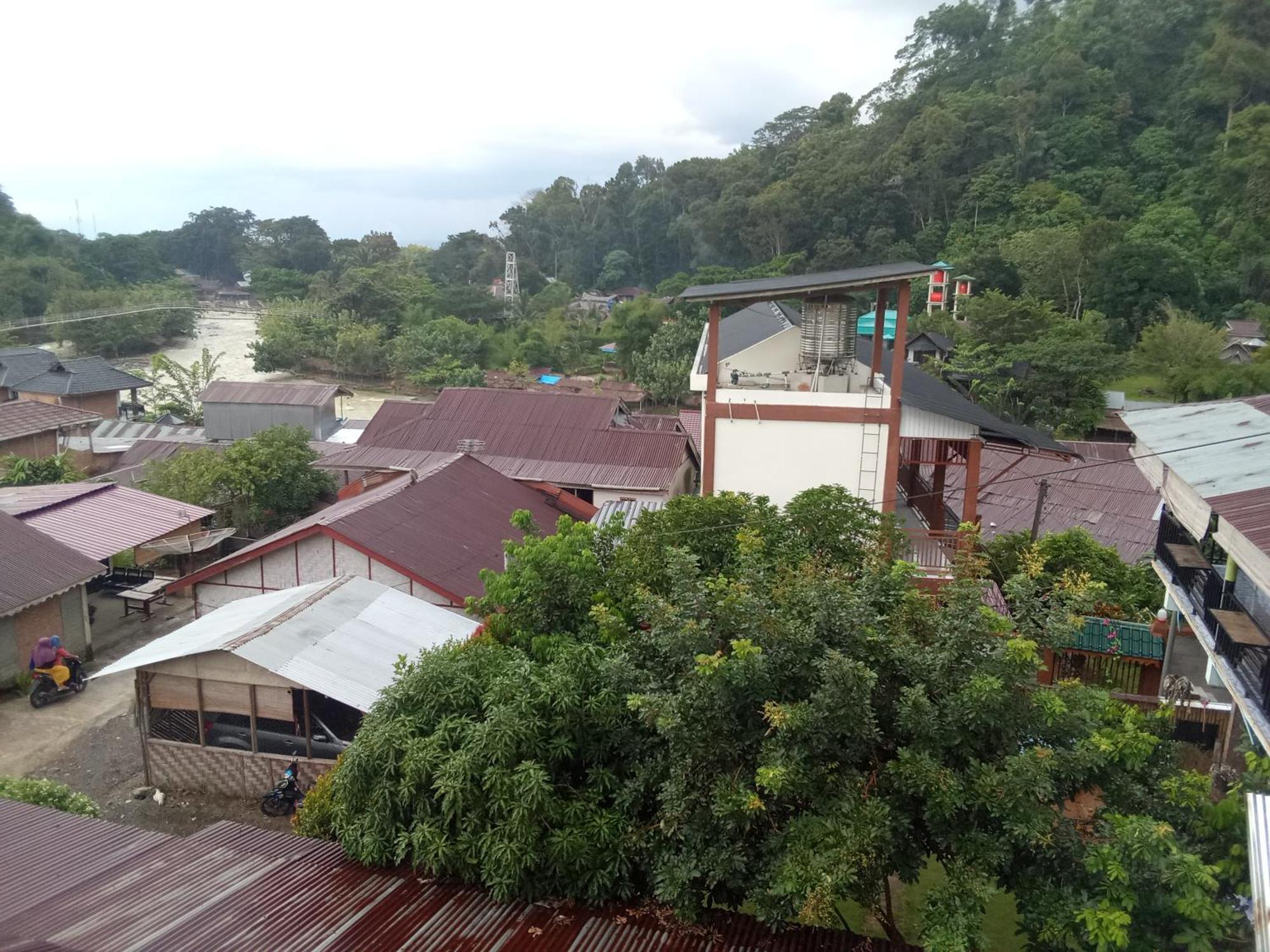 Jungle Treking & Jungle Tour If You Want To Stay Here,You Must Book Treking Only With Us Букит Лаванг Екстериор снимка