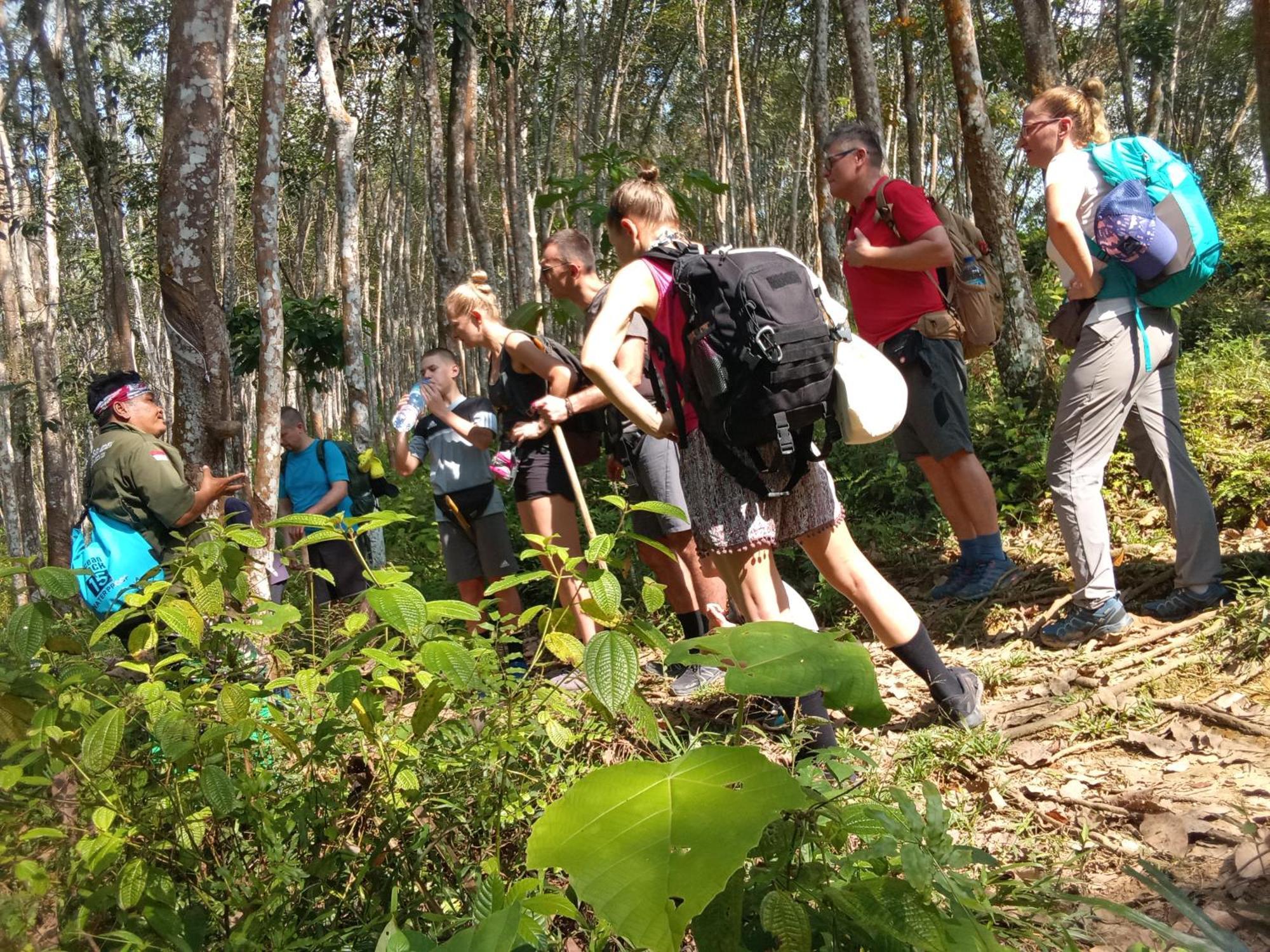 Jungle Treking & Jungle Tour If You Want To Stay Here,You Must Book Treking Only With Us Букит Лаванг Екстериор снимка
